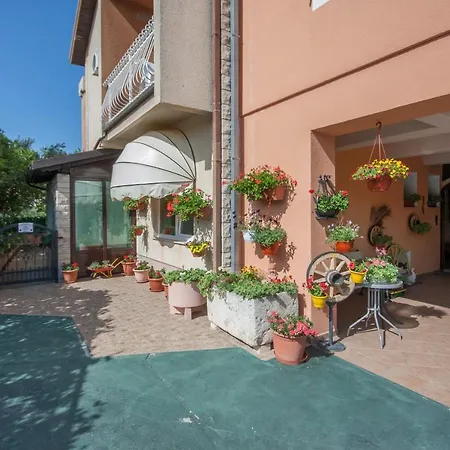 Daniela 3* ברודאריצה