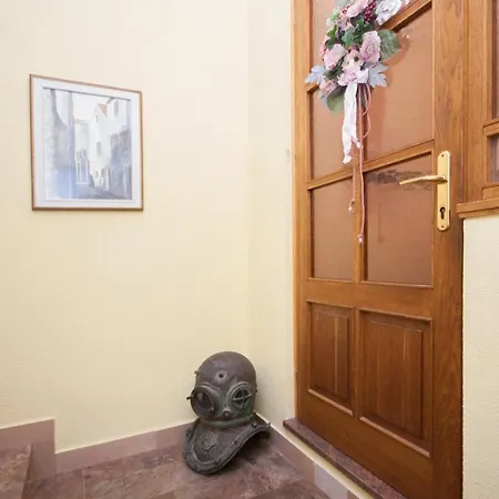 Daniela ברודאריצה