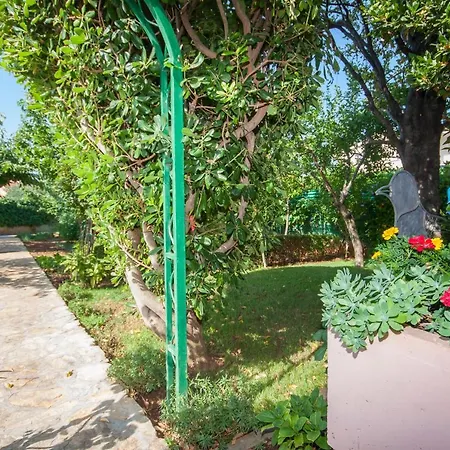 Daniela ברודאריצה