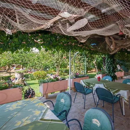 Daniela 布罗达里卡