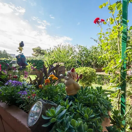 Daniela בית הארחה ברודאריצה