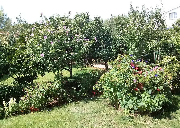 בית הארחה Daniela