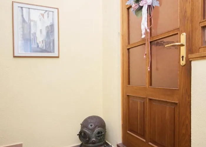 Daniela ברודאריצה