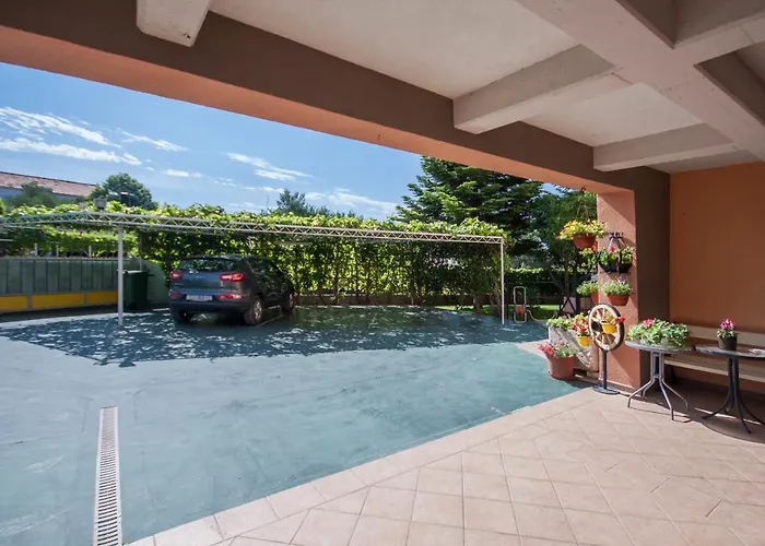 Daniela ברודאריצה