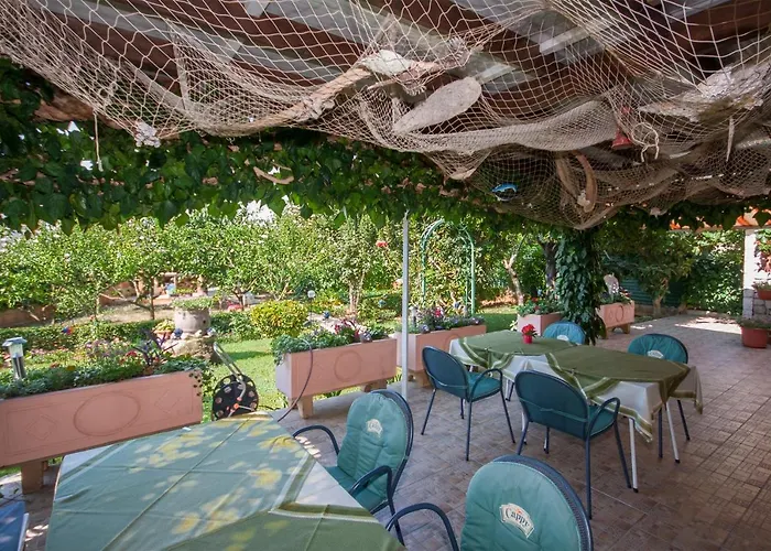 Daniela Brodarica (Sibenik-Knin)